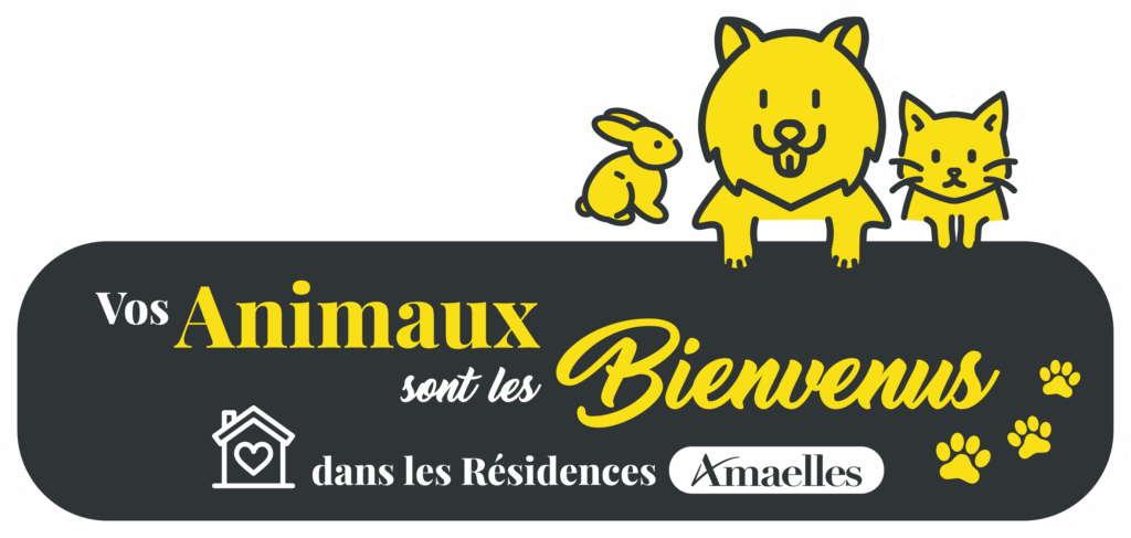 Les animaux sont acceptés dans nos résidences