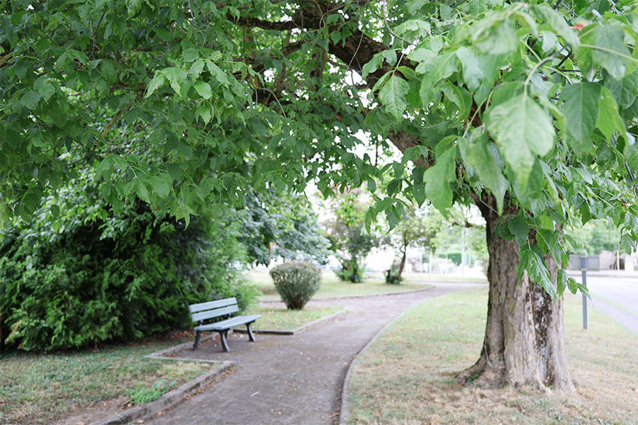 Parc privé - Résidence Saint-Brice St Brice à Illfurth par Amaelles Haut-Rhin